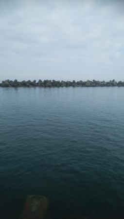 なんとか、アオリイカ1杯