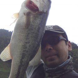 夏より浅いところに来ています。