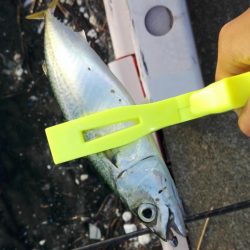 ライトゲーム！！