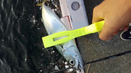 ライトゲーム！！