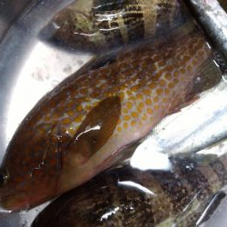 天気予報が違ったので