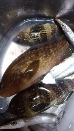 天気予報が違ったので