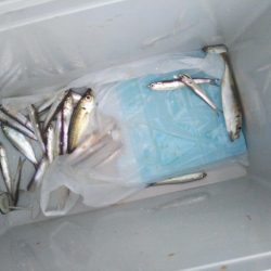 南港フェリー乗り場