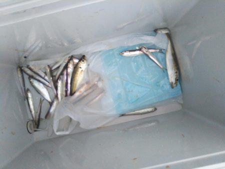 南港フェリー乗り場