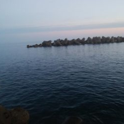 マズメにアオリイカ4杯！！