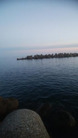 マズメにアオリイカ4杯！！