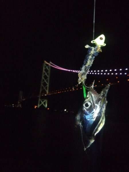 アジュールで短時間タチウオ時合!