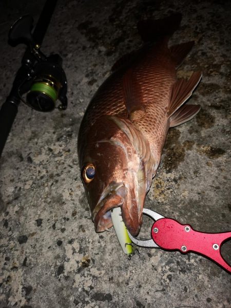 台風からの贈り物、ウィードエリア