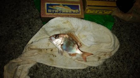 チャリコ湧きキス何処へ