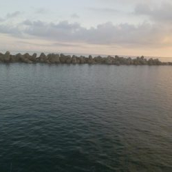 祝 アオリちゃん 100杯達成!!!