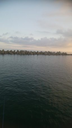 祝 アオリちゃん 100杯達成!!!