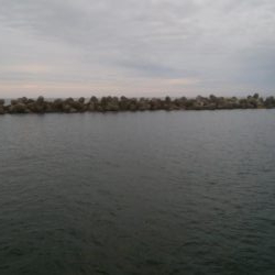 夕まずめ　あおり2杯！