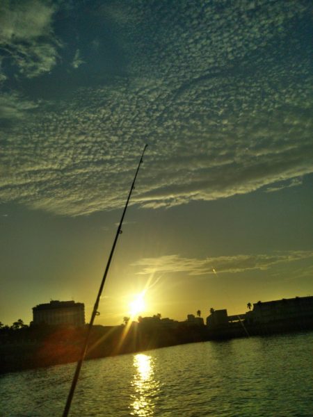 アジュールでタチウオ激渋