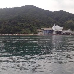 昼からのんびり