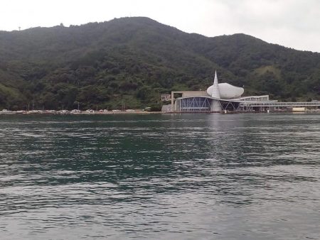 昼からのんびり