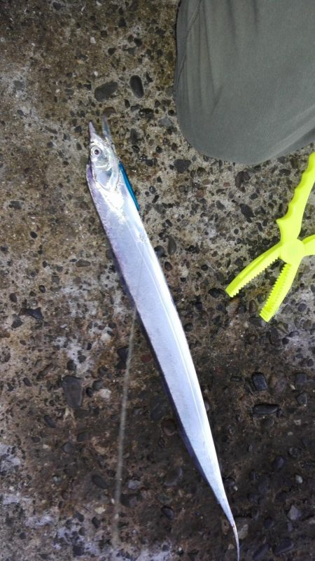 やったりやした