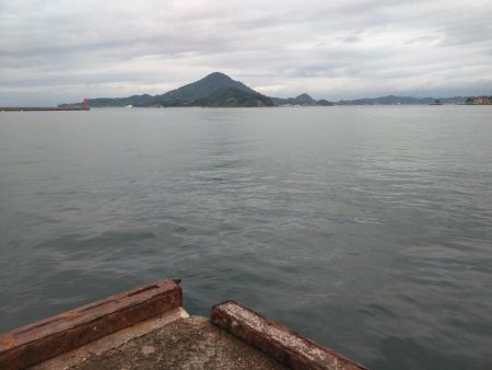 カワハギ、アジ