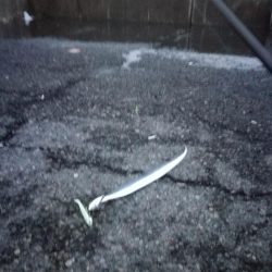 台風前ワインド