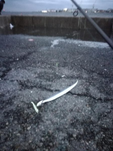 台風前ワインド