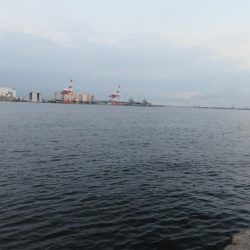 久しぶりの湾奧釣行でシーバスキャッチ!