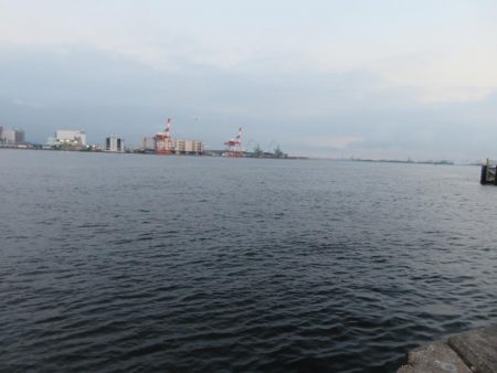 久しぶりの湾奧釣行でシーバスキャッチ!