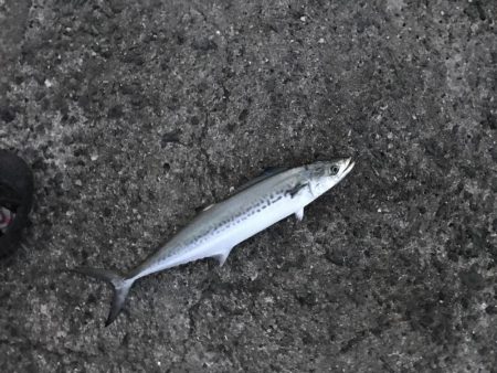 久しぶりに連続ヒット