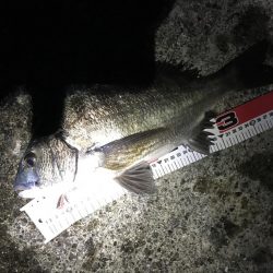 安定のサナギフカセ