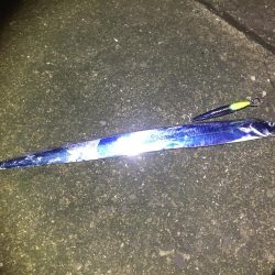 波高い中のタチウオ