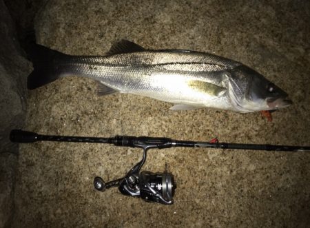 ミッドナイトゲーム