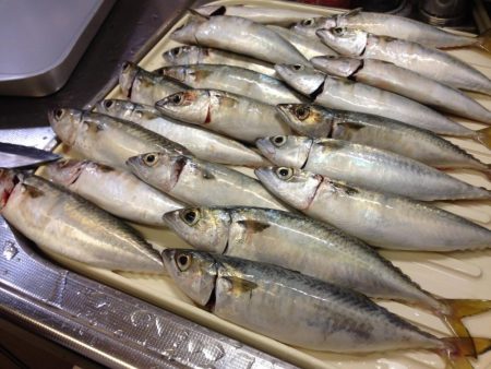 タチウオ…じゃなくてサバ釣り