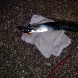 太刀魚のウキ釣り