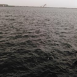 ライトショアジギング