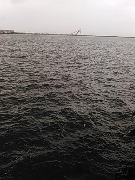 ライトショアジギング