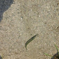 もう少しサイズがほしい