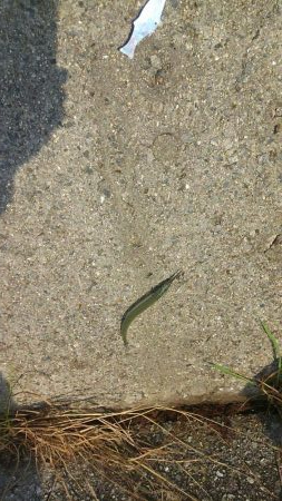 もう少しサイズがほしい