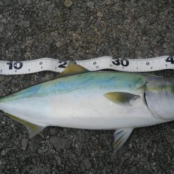 フックの確認をわすれずに！