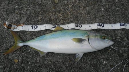 フックの確認をわすれずに！