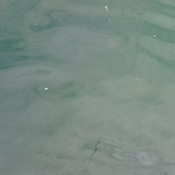 痛恨のフックブレイク