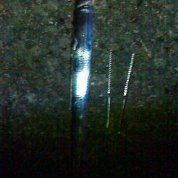 太刀爆釣ならず