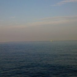 二日連続の貝塚