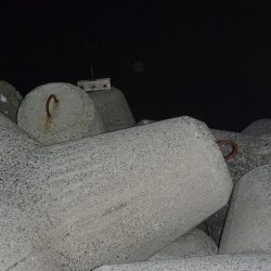 タチウオ入れ食い