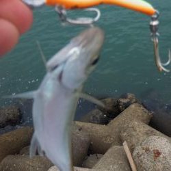 台風通過後ショアジギ７目釣り