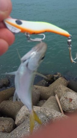 台風通過後ショアジギ７目釣り