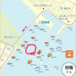 ちょっとだけエギング