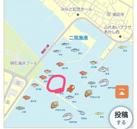 ちょっとだけエギング