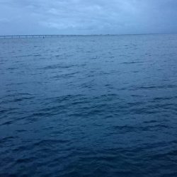 タチウオ貝塚遠征3日目