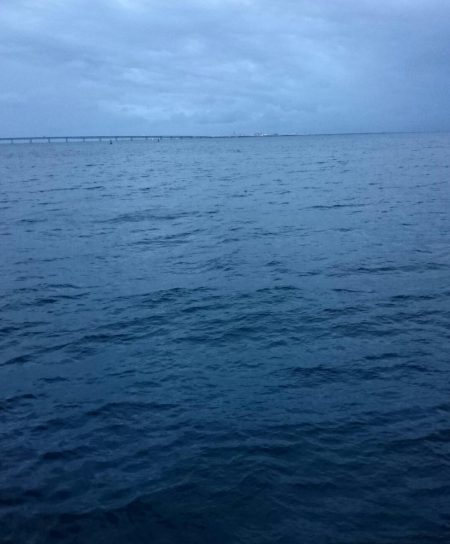 タチウオ貝塚遠征3日目