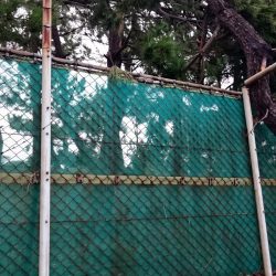 毎日タチウオ釣行