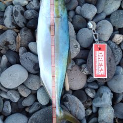 時合いが続かない(>_<)