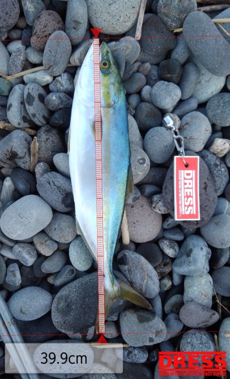 時合いが続かない(>_<)